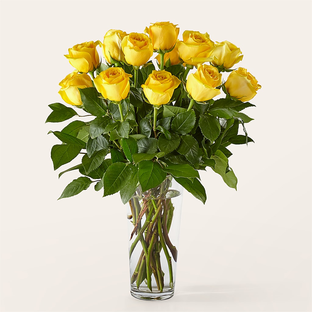 Long Stem Yellow Rose Bouquet – North Star Blooms, Roseville MN