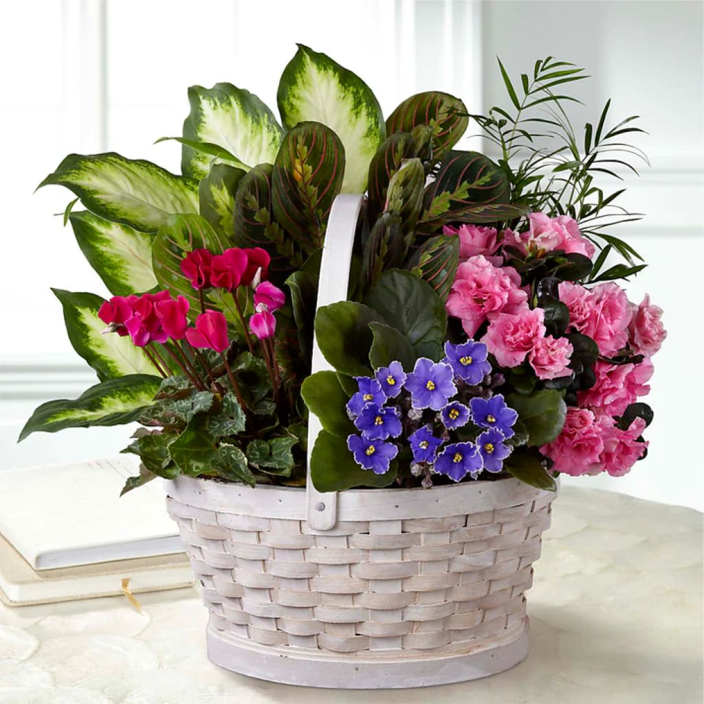 Peaceful Garden Planter – North Star Blooms, Roseville MN
