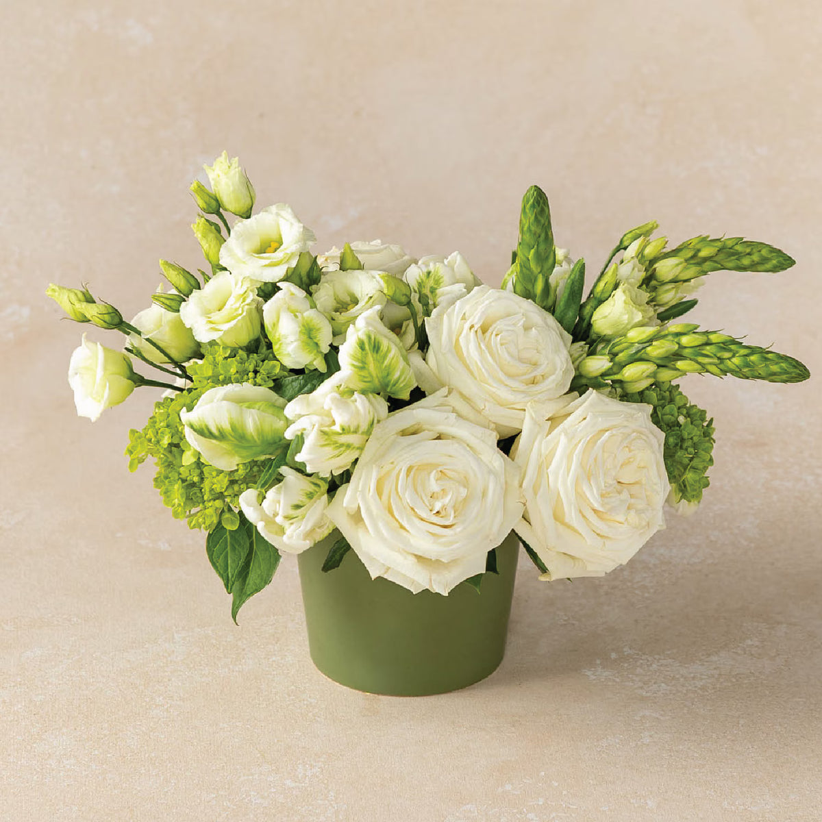 Natural Classic – North Star Blooms, Roseville MN