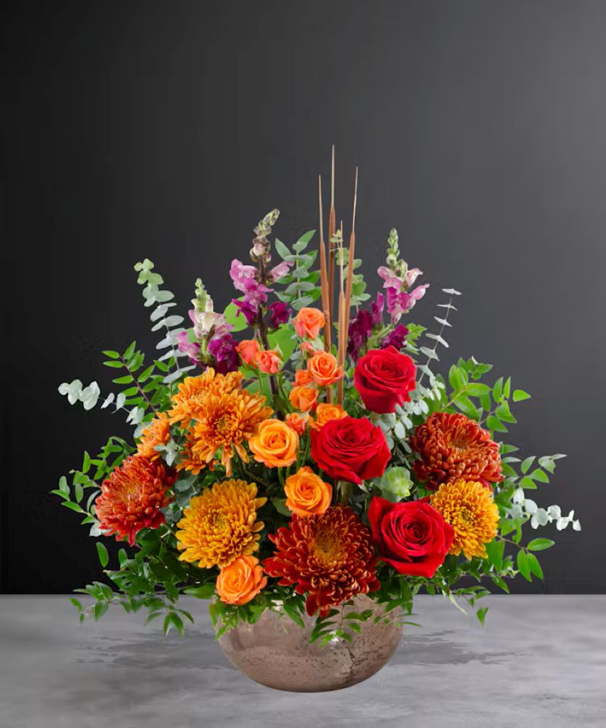 Phoebe – North Star Blooms, Roseville MN
