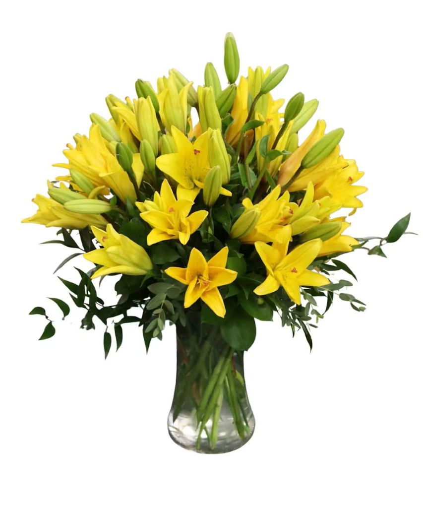 Lily Sunshine – North Star Blooms, Roseville MN