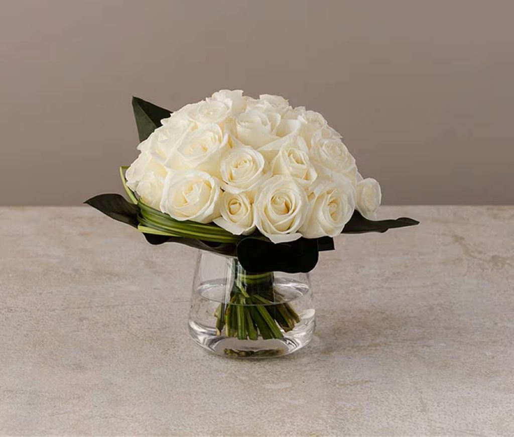 Modern Rose