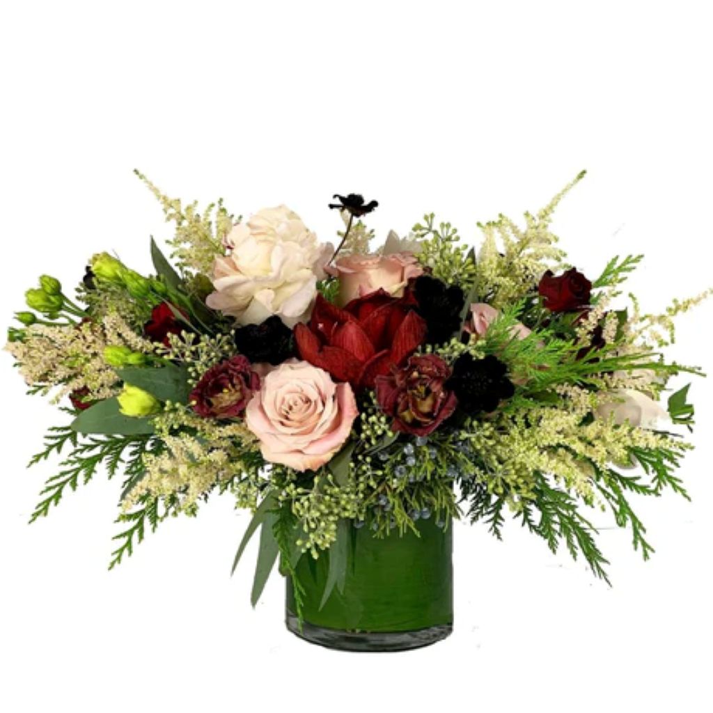 Sugar Plum – North Star Blooms, Roseville MN