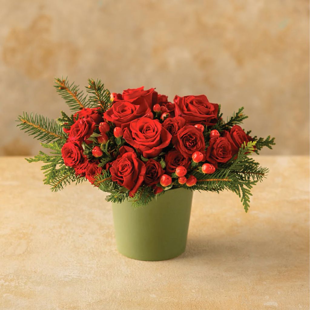 Crimson Classic – North Star Blooms, Roseville MN