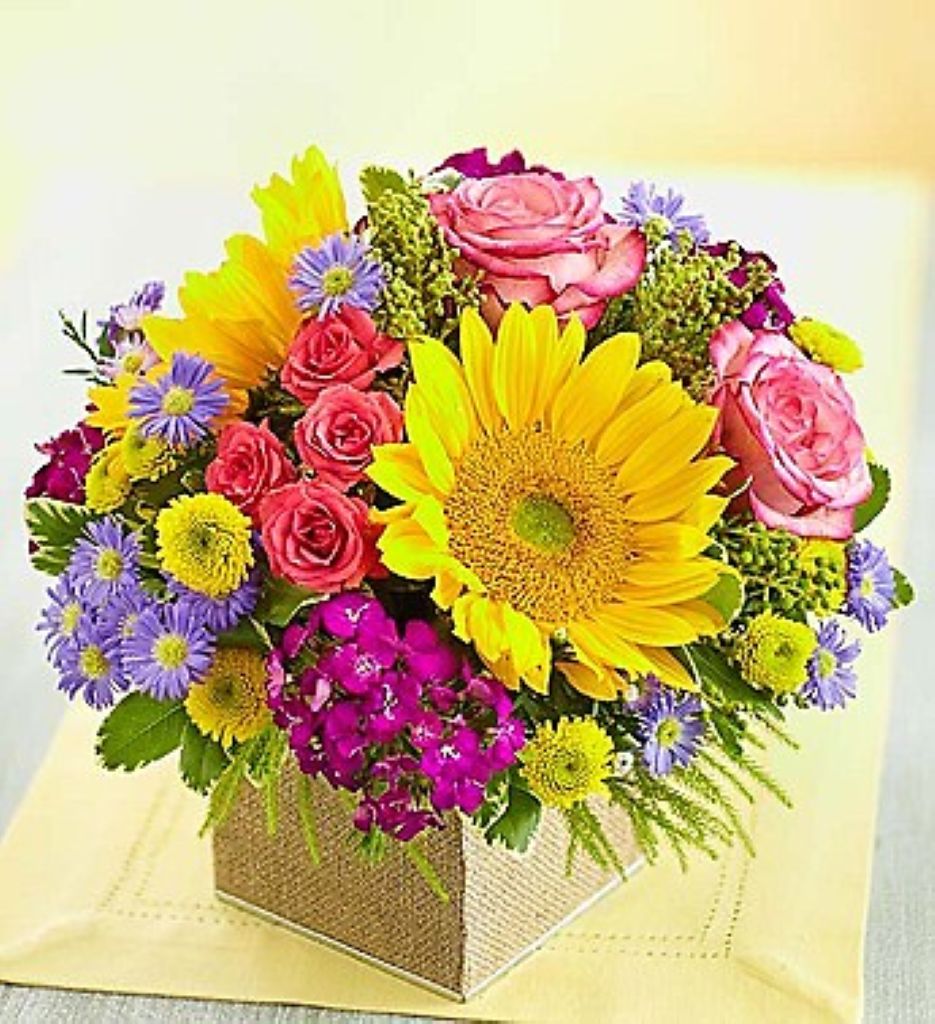 Country Roads – North Star Blooms, Roseville MN