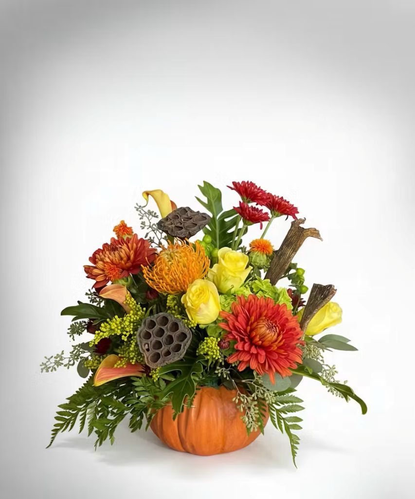 Fall Pumpkin – North Star Blooms, Roseville MN