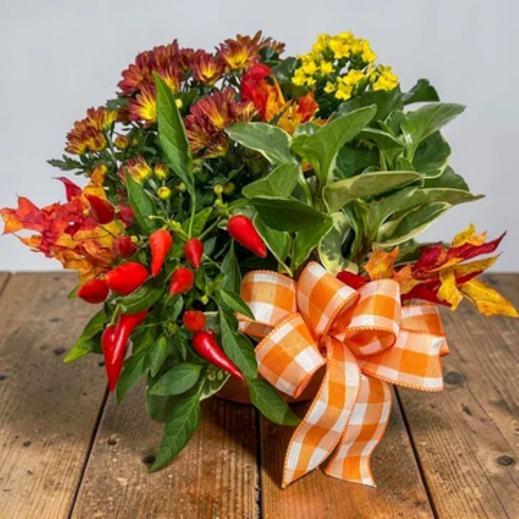 Welcome Fall Planter – North Star Blooms, Roseville MN