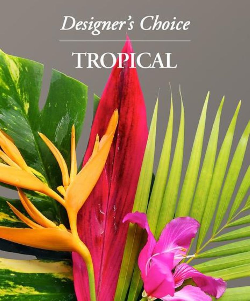 Tropical Designers Choose For Him – North Star Blooms, Roseville MN