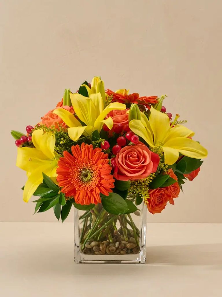 A Burst of Sunshine