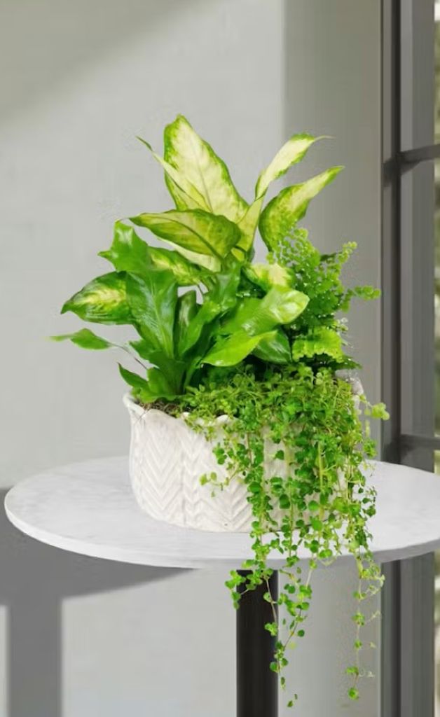 European Garden in Ceramic Container – North Star Blooms, Roseville MN