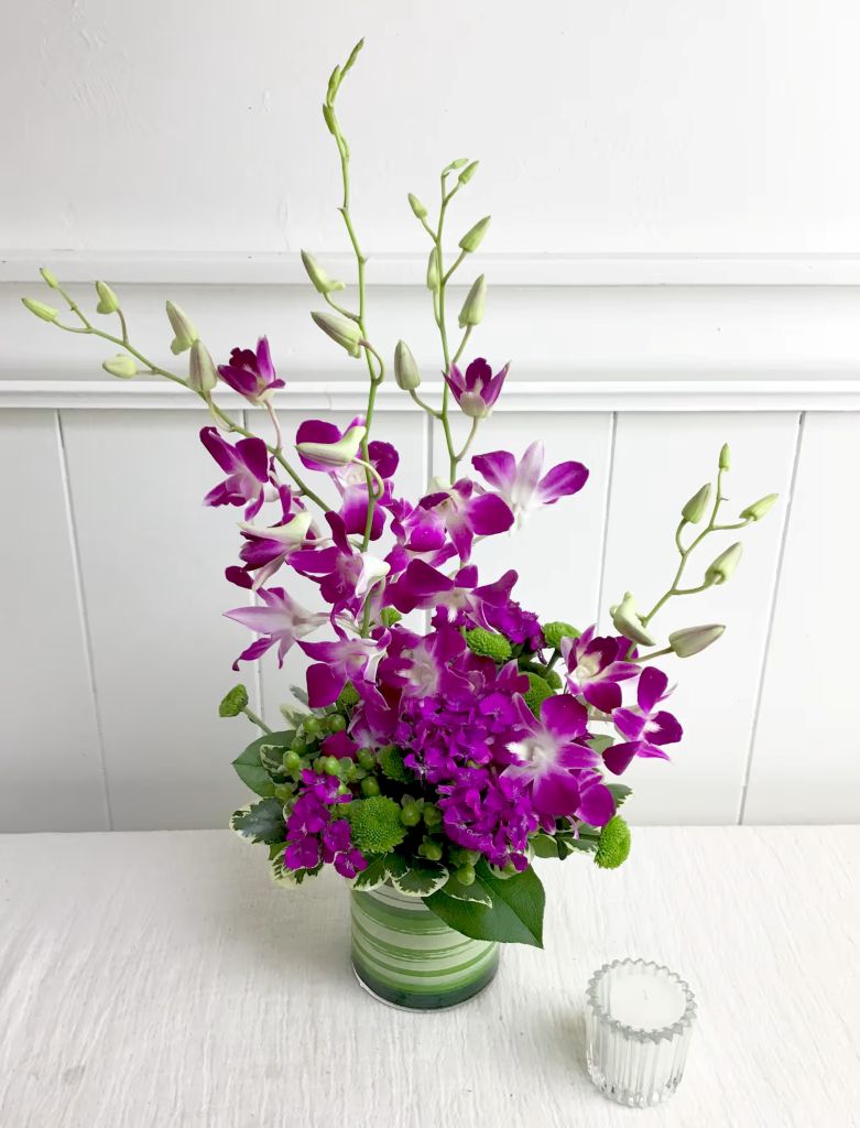 Daydreaming – North Star Blooms, Roseville MN