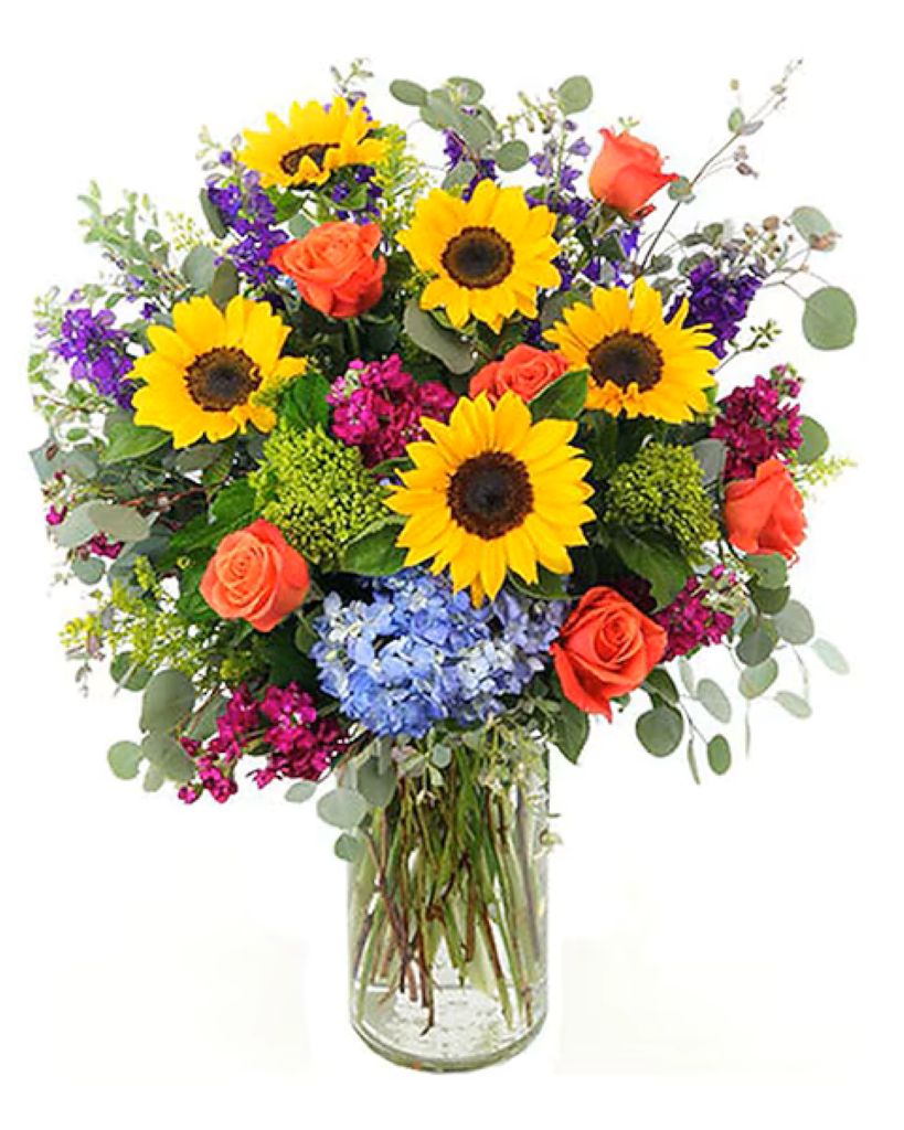 Vibrant Sentiments Save & Compare – North Star Blooms, Roseville MN