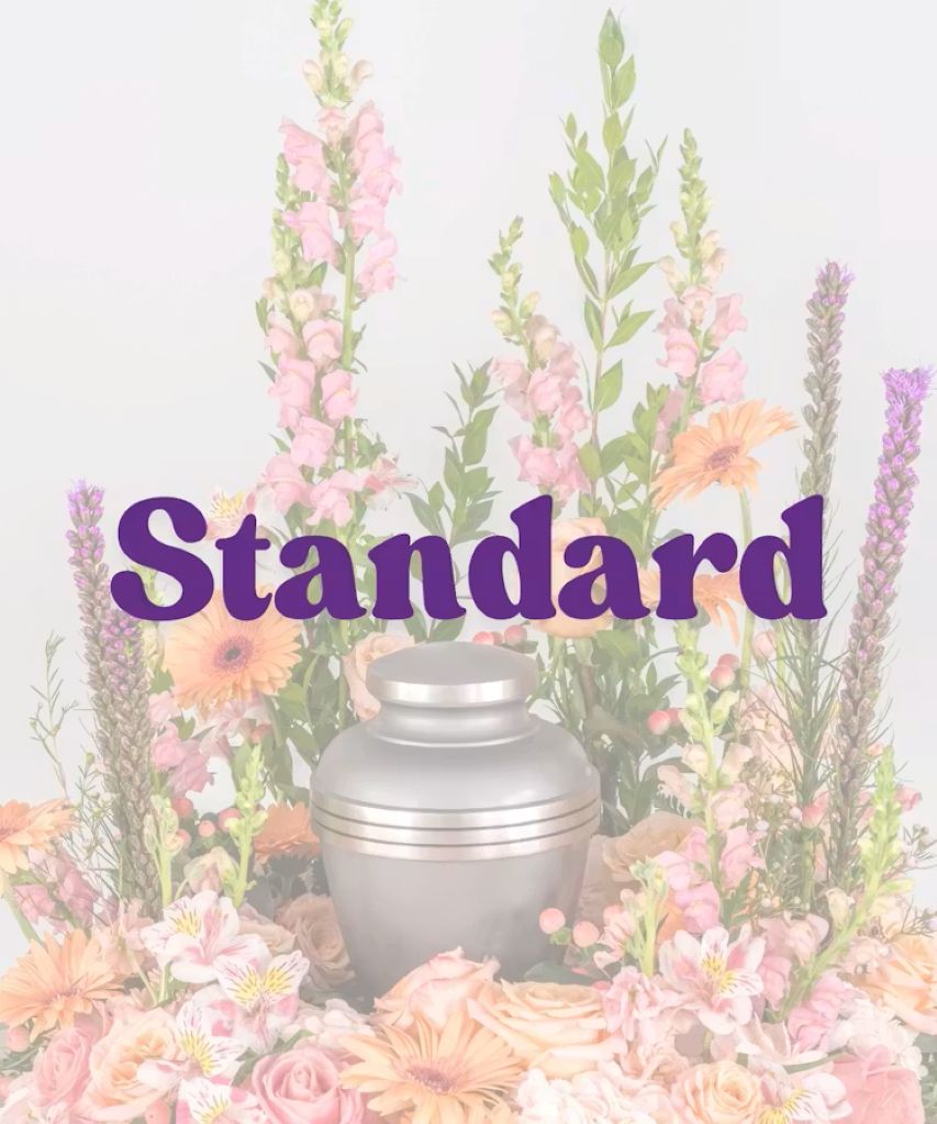 Tender Blush – North Star Blooms, Roseville MN