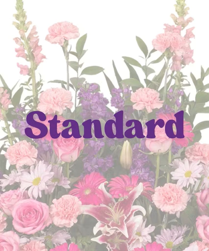 Feminine – North Star Blooms, Roseville MN