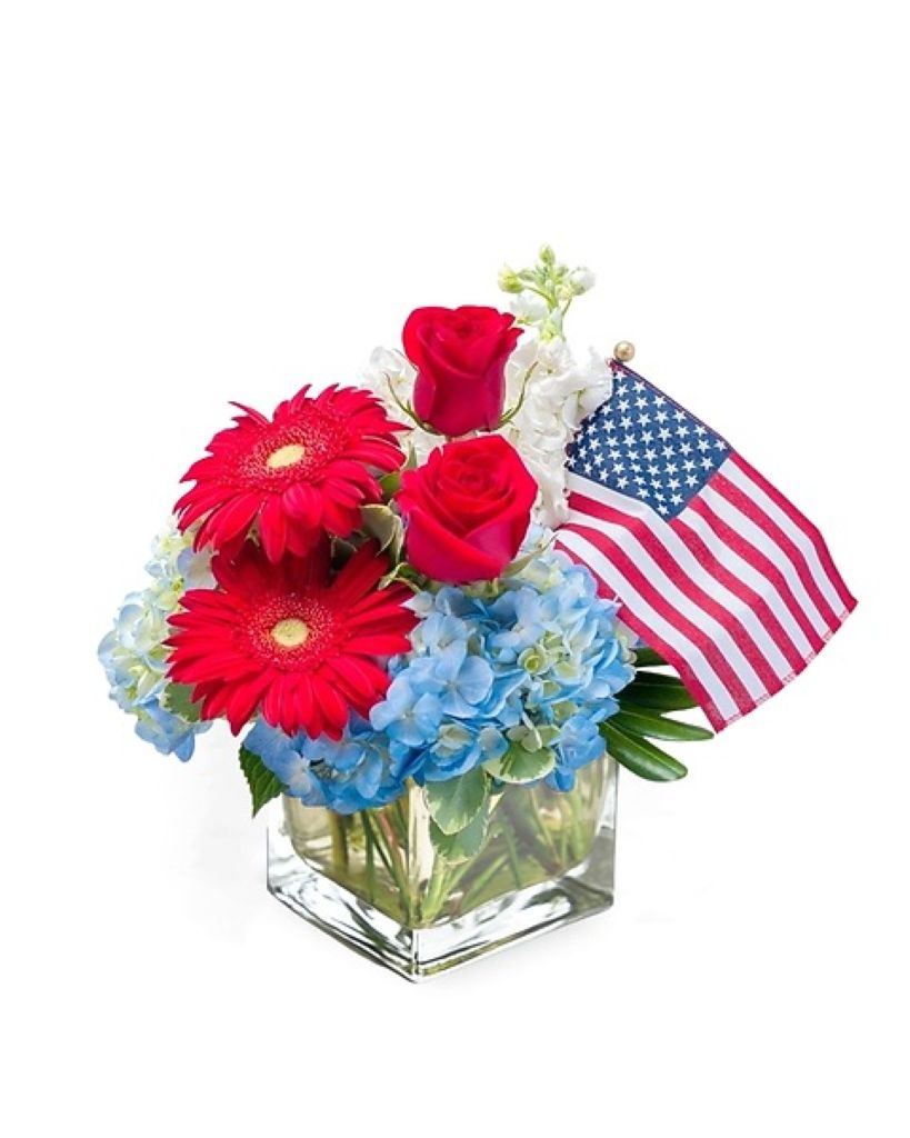Independence – North Star Blooms, Roseville MN