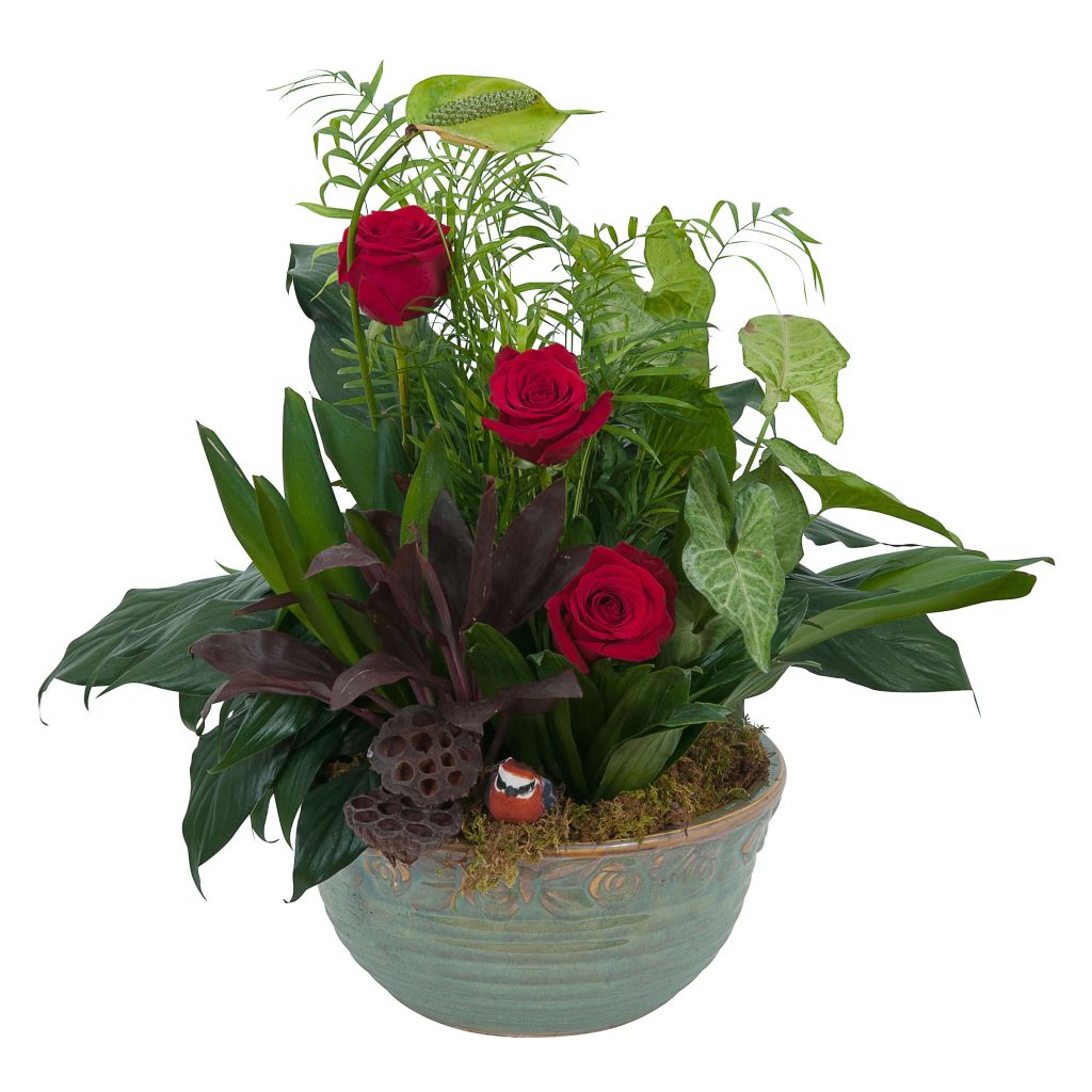 Rosy Dish Garden – North Star Blooms, Roseville MN