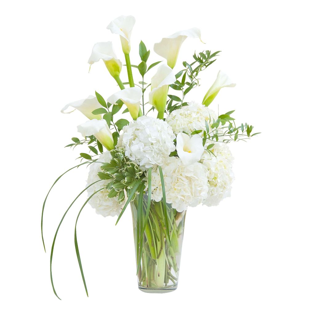 Devotion – North Star Blooms, Roseville MN
