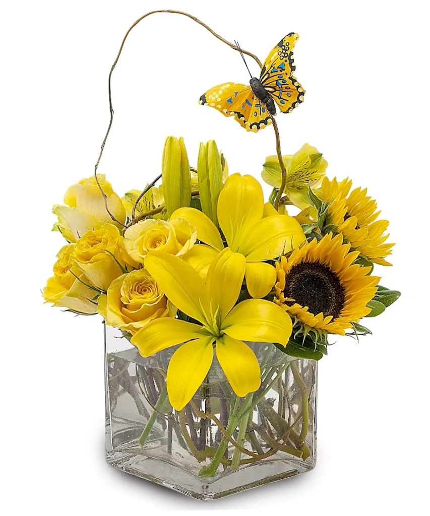 Butterfly Effect – North Star Blooms, Roseville MN