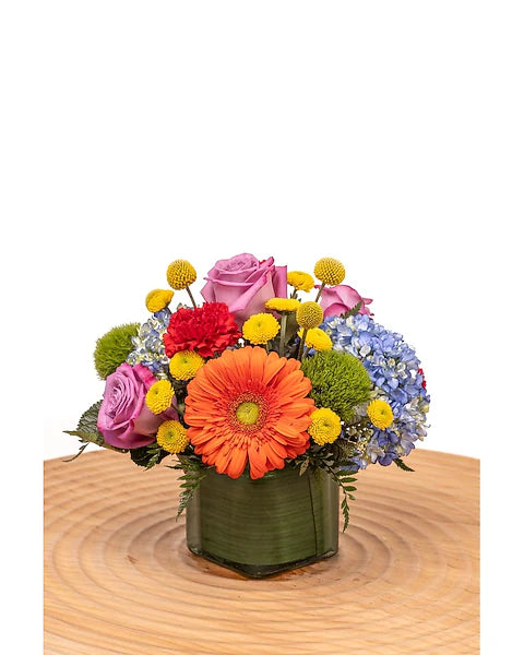 Chasing Rainbows – North Star Blooms, Roseville MN