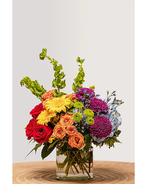 Rainbow Rush – North Star Blooms, Roseville MN