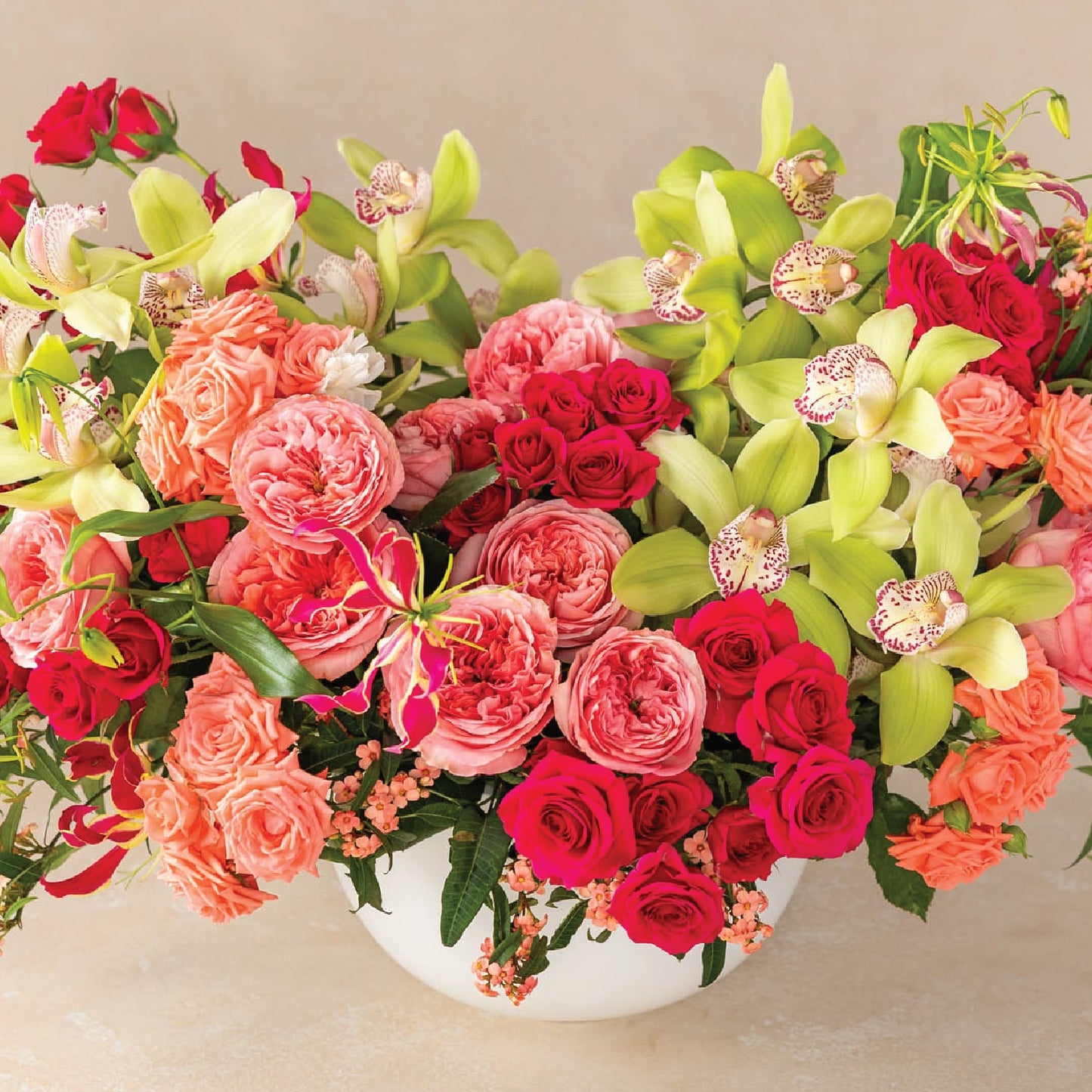 Coral Enchantment