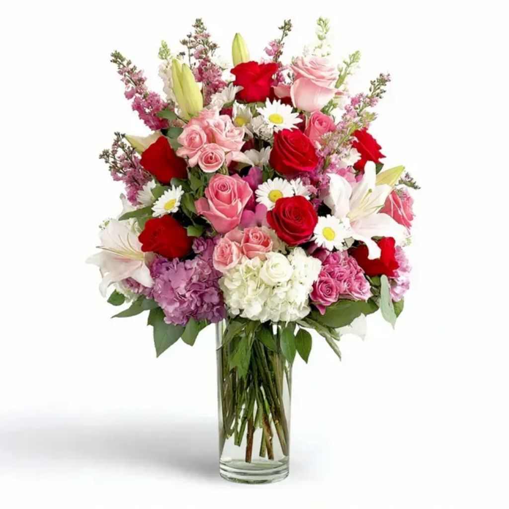 Rosé Radiance – North Star Blooms, Roseville MN