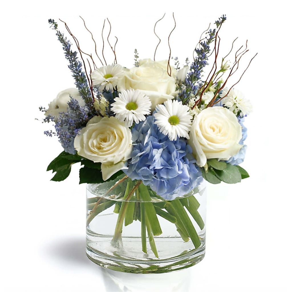 Snow & Shalom – North Star Blooms, Roseville MN
