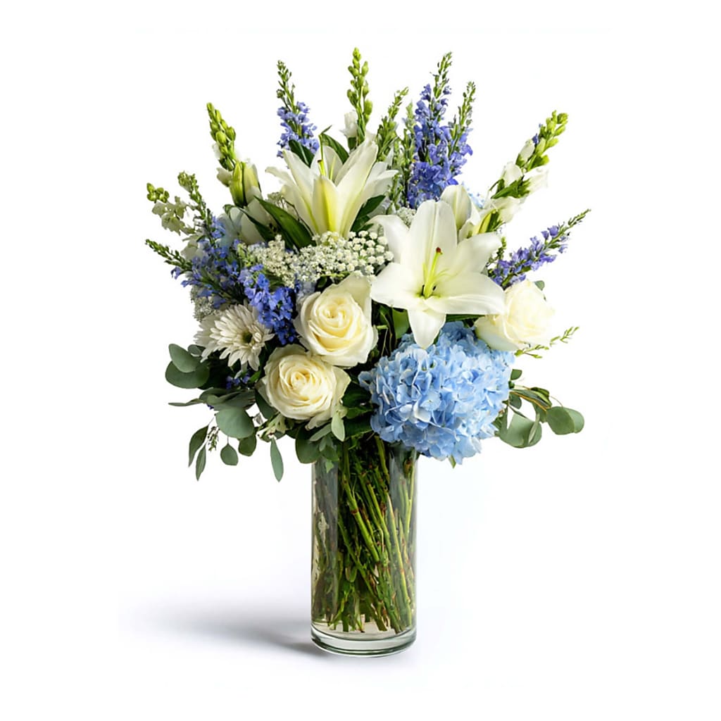 Dreidel Dreams – North Star Blooms, Roseville MN