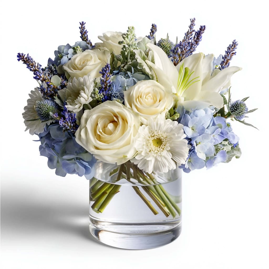 Frosted Light – North Star Blooms, Roseville MN