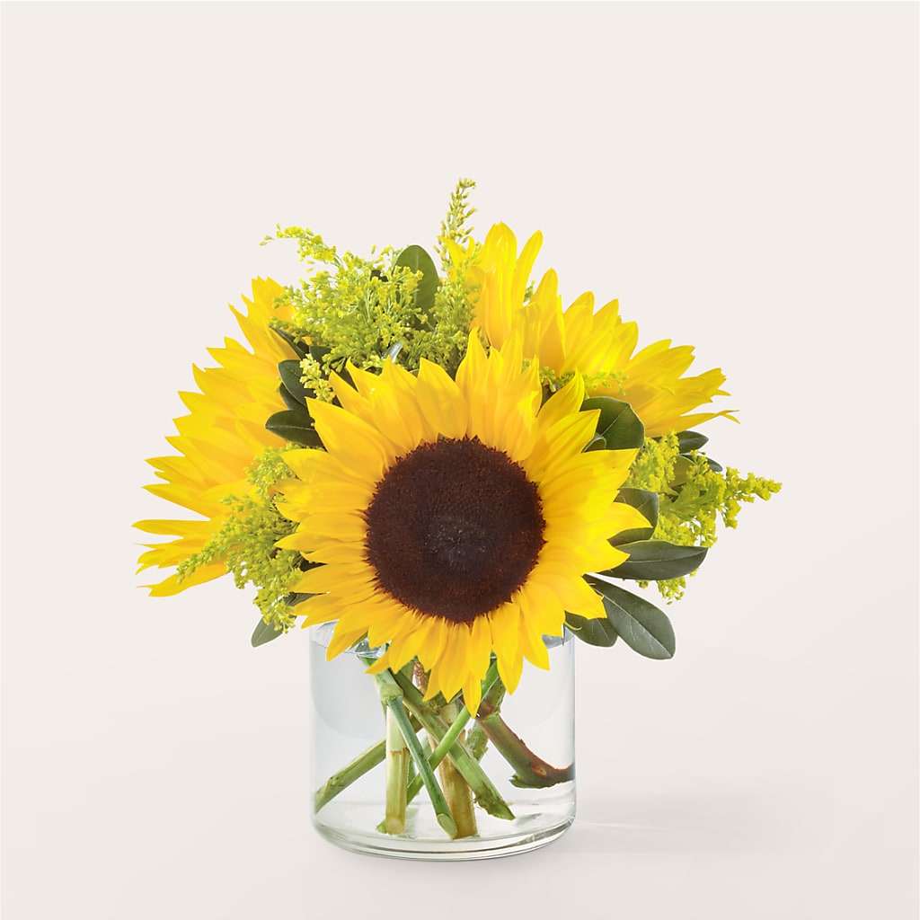 Beaming Sunflower Bouquet – North Star Blooms, Roseville MN