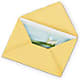 Greeting Card – North Star Blooms, Roseville MN