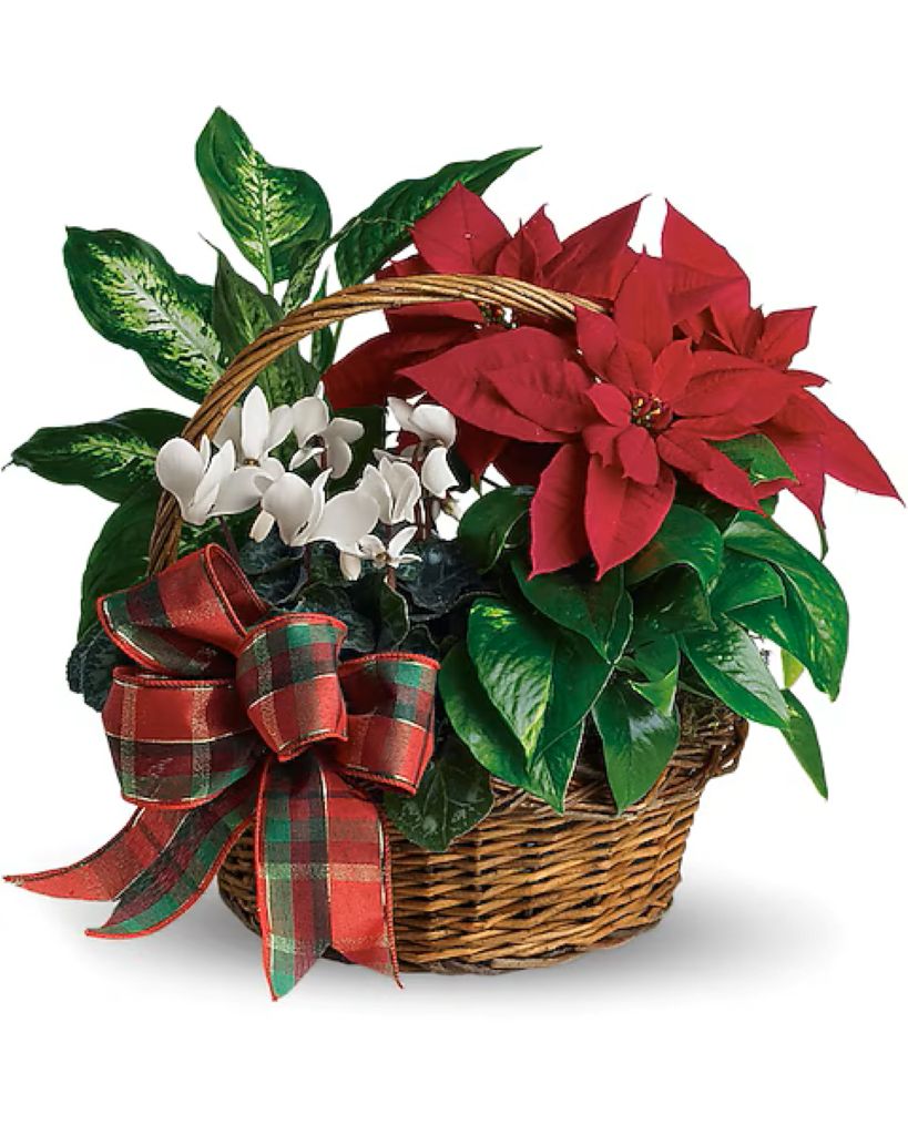 Holiday Homecoming Basket