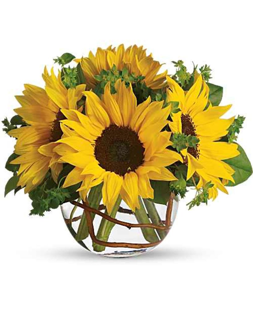 Sunny Sunflowers – North Star Blooms, Roseville MN