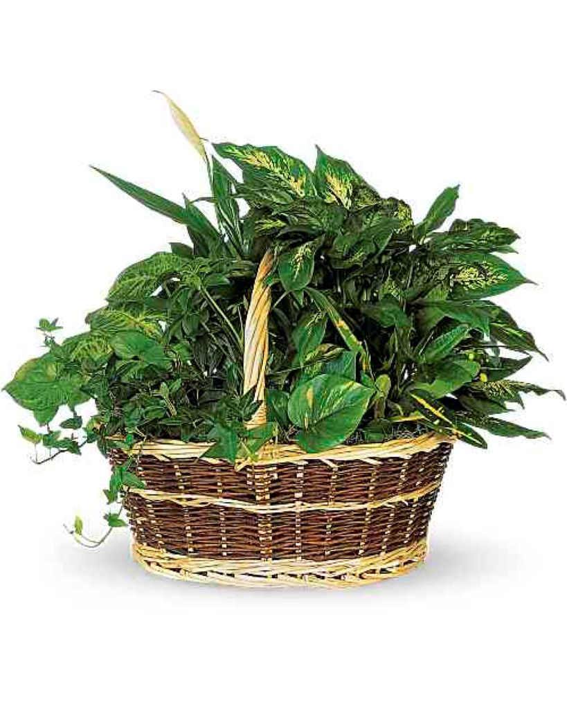 Large Basket Garden – North Star Blooms, Roseville MN