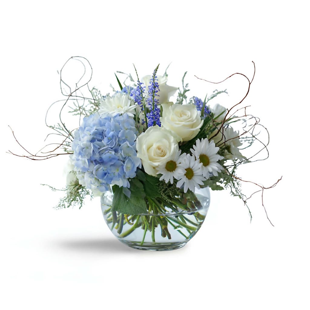 Tiny Miracle – North Star Blooms, Roseville MN