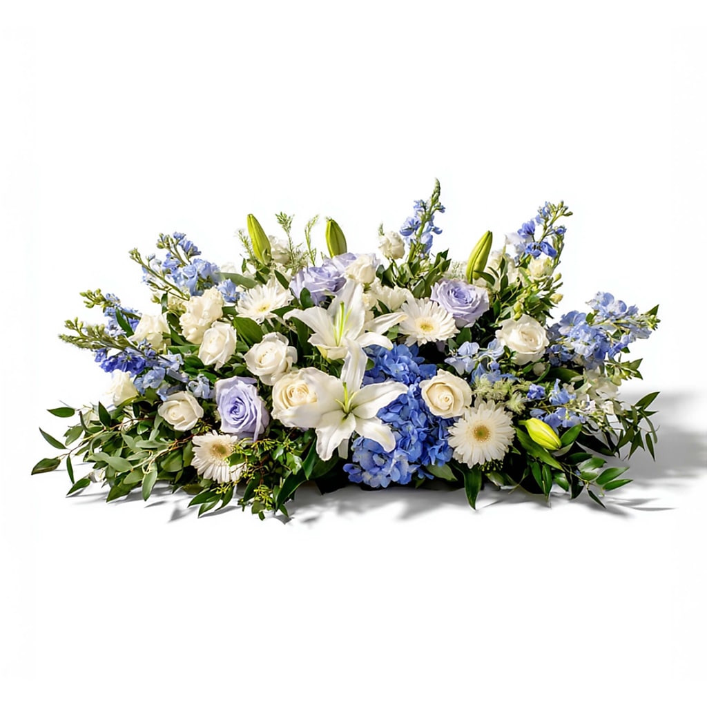 Celestia – North Star Blooms, Roseville MN