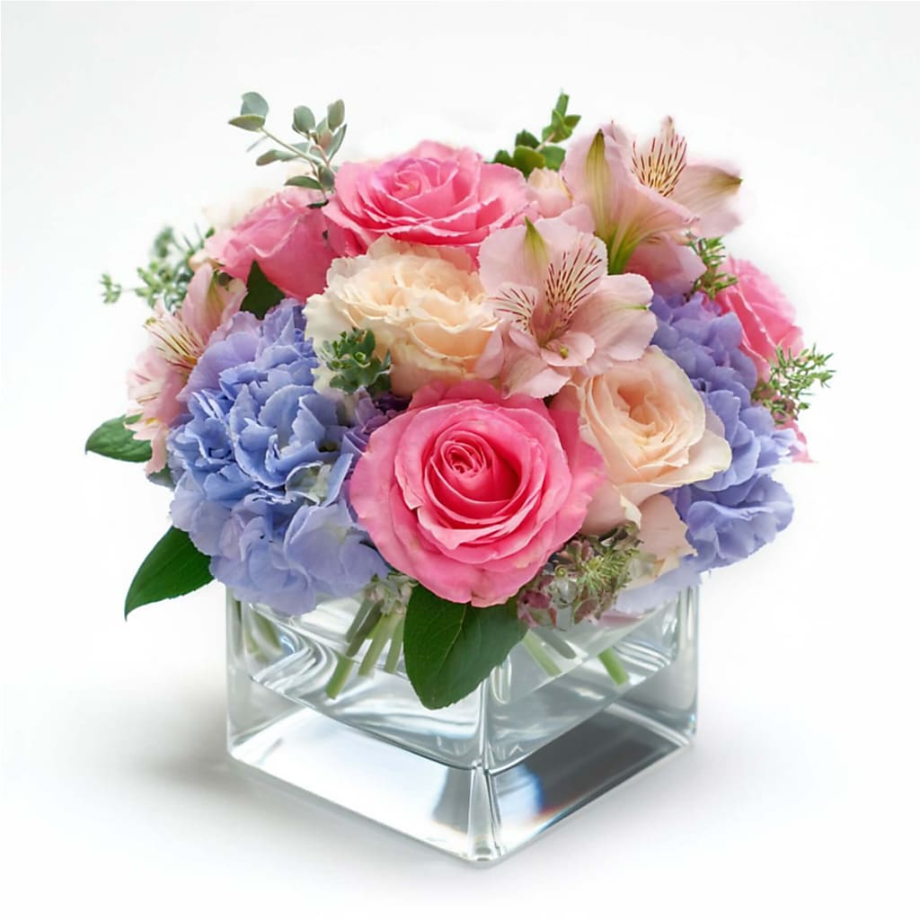 Champagne Bloom – North Star Blooms, Roseville MN