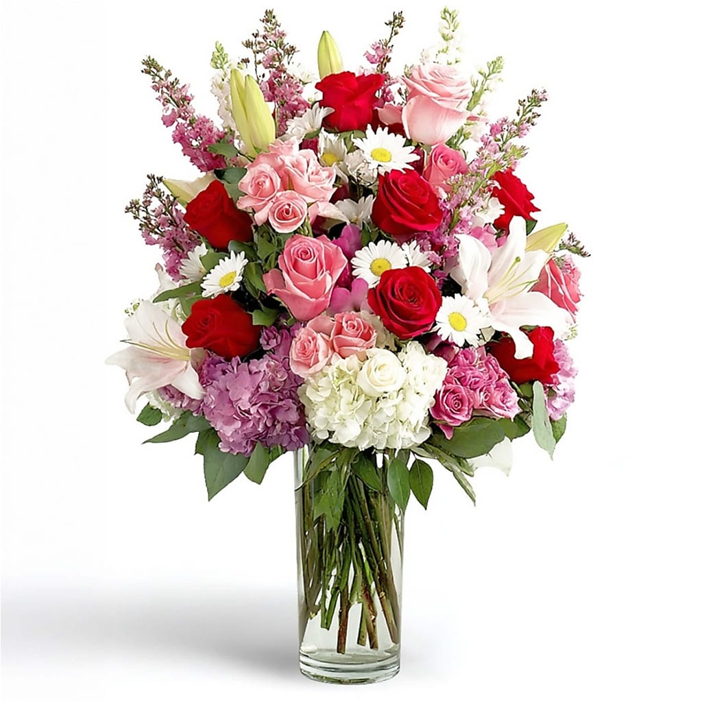 Rosé Radiance – North Star Blooms, Roseville MN