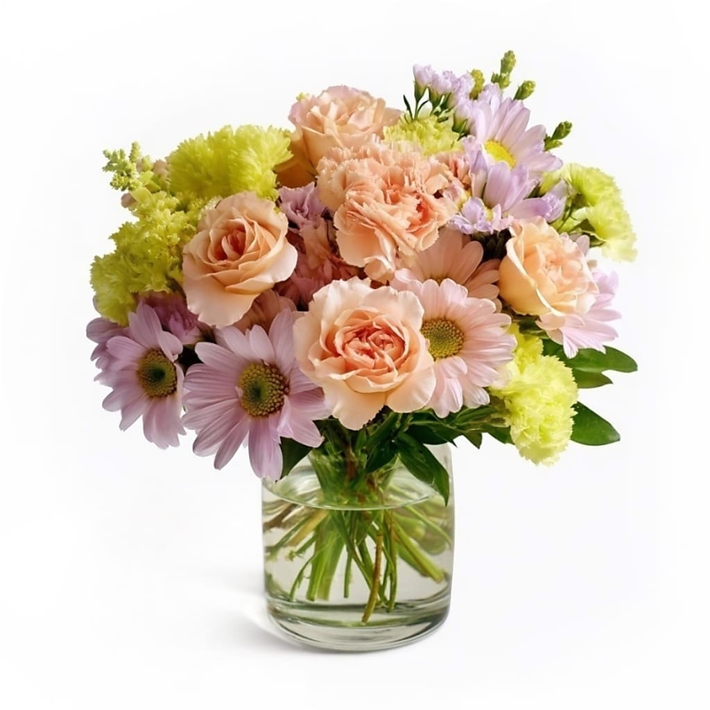 Clementine – North Star Blooms, Roseville MN