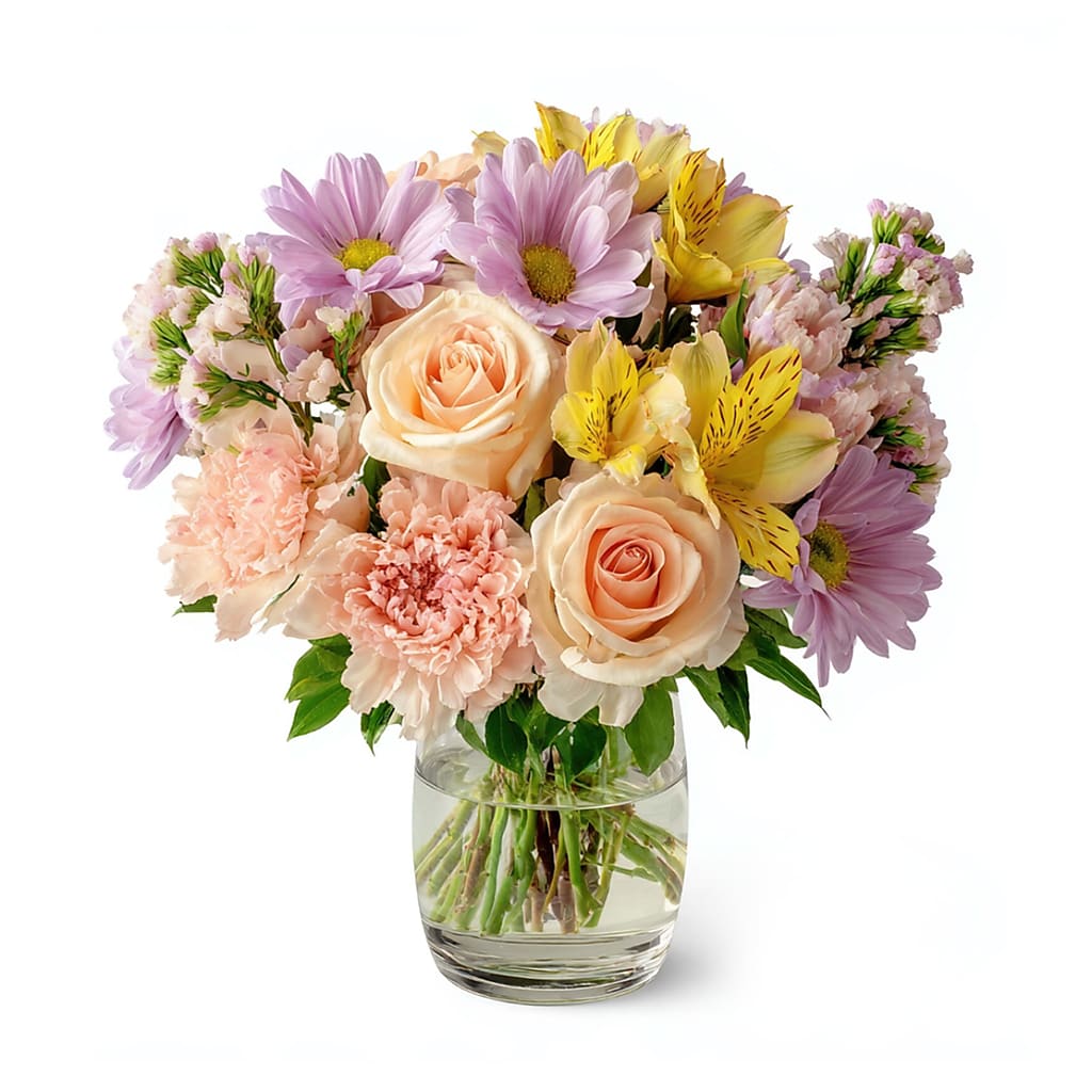 Sunlace – North Star Blooms, Roseville MN