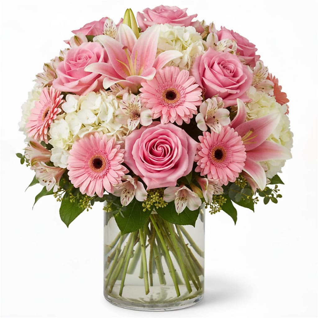 Rosebud Blush – North Star Blooms, Roseville MN