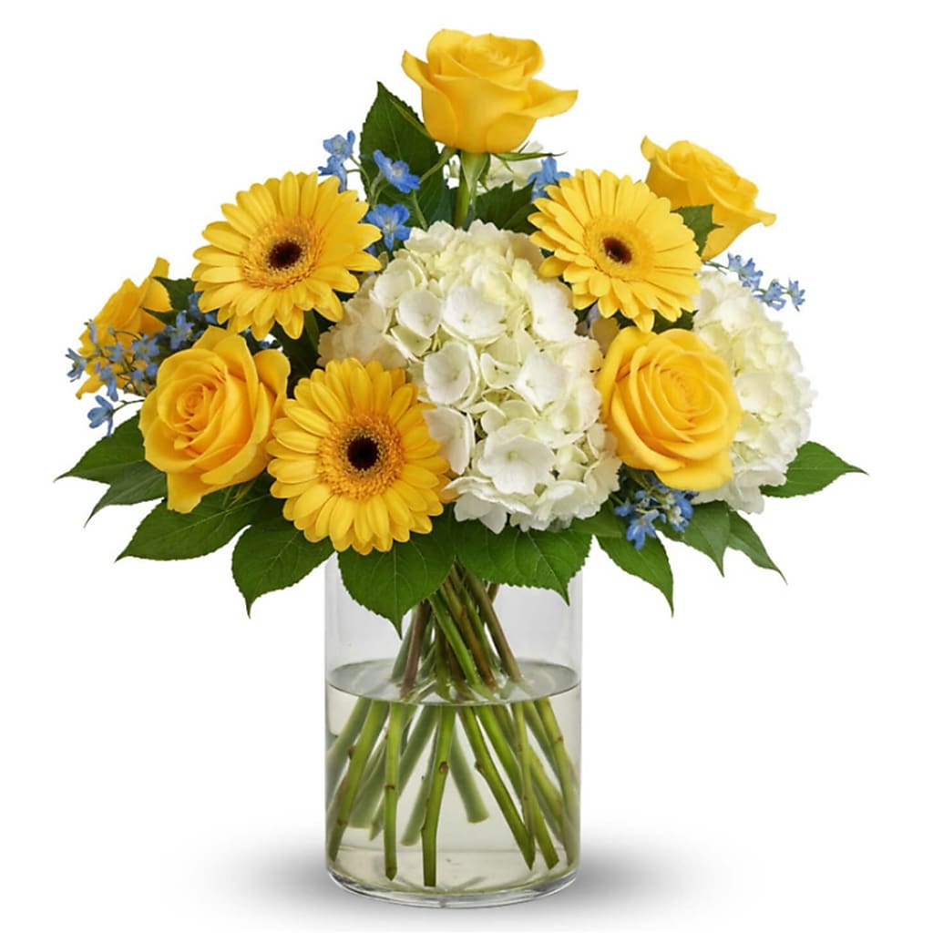 Little Ray of Sunshine – North Star Blooms, Roseville MN