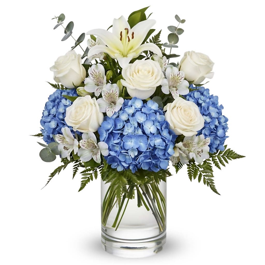 Heavenly Blue Blessing – North Star Blooms, Roseville MN