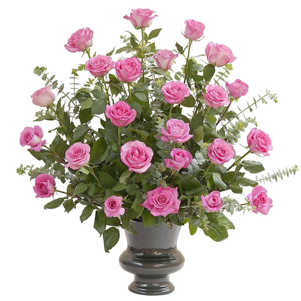 Pink Rose Supreme – North Star Blooms, Roseville MN
