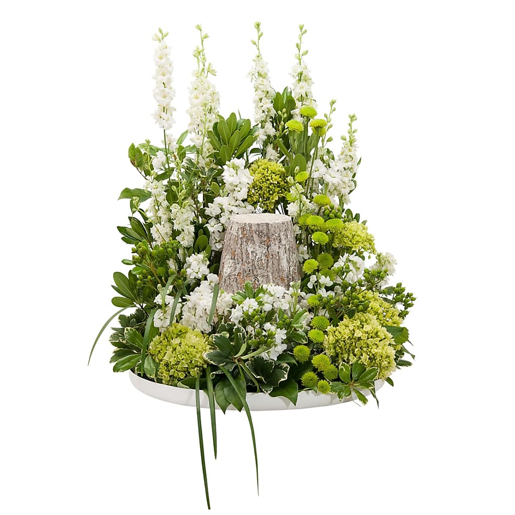 Elegance Surround – North Star Blooms, Roseville MN