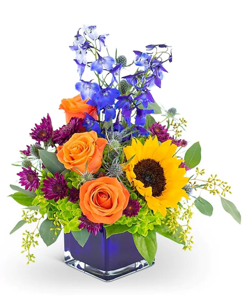 Season of Dreams – North Star Blooms, Roseville MN