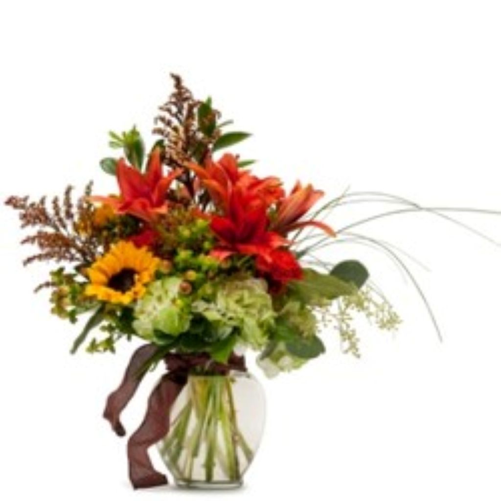 Autumn Breeze – North Star Blooms, Roseville MN