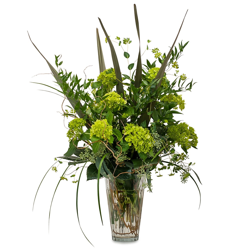 Natural Green – North Star Blooms, Roseville MN
