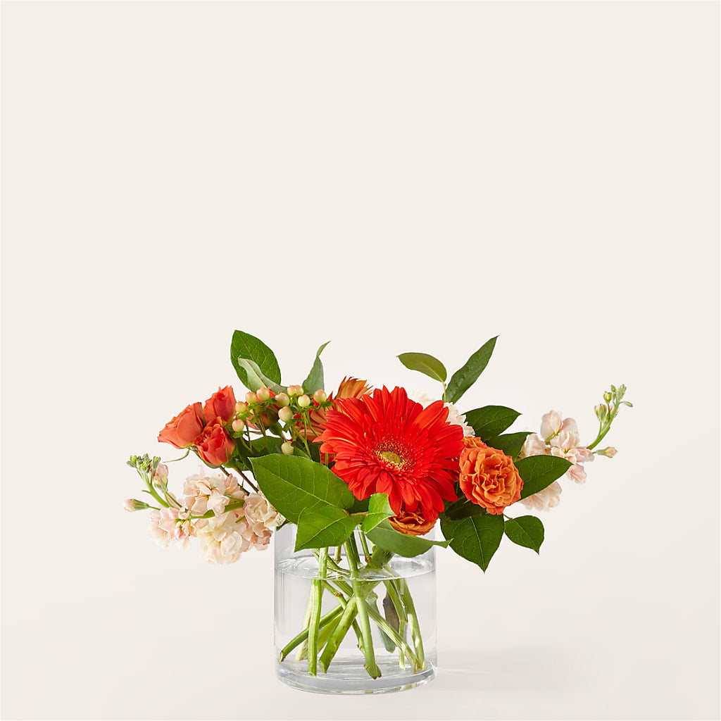 Paloma Please Bouquet – North Star Blooms, Roseville MN