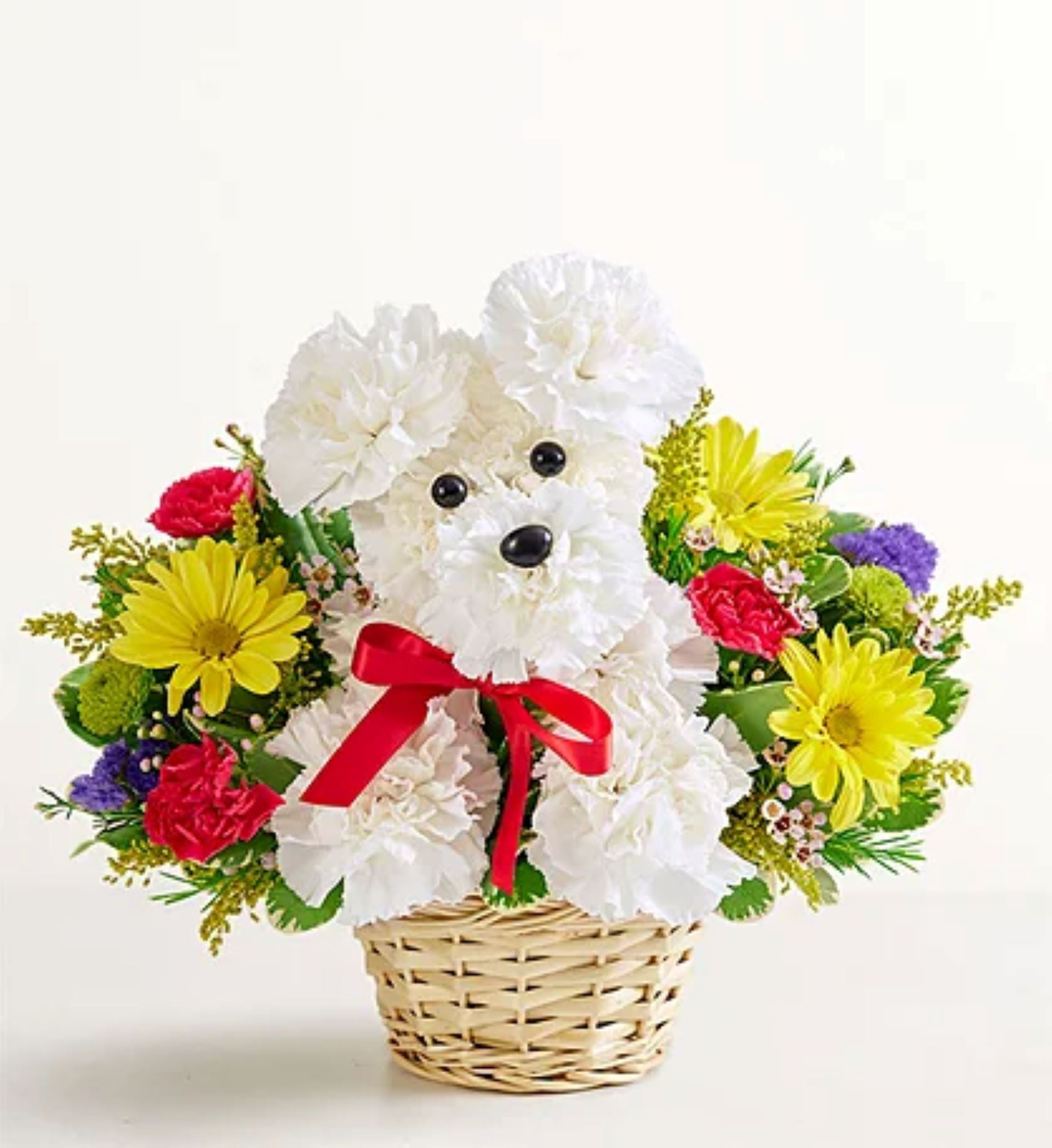 Floral Pets